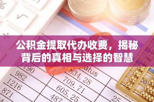 荣县公积金提取代办收费，揭秘背后的真相与选择的智慧