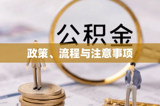 荣县政策、流程与注意事项