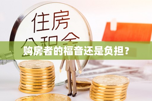 荣县购房者的福音还是负担？