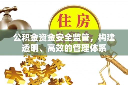 荣县公积金资金安全监管，构建透明、高效的管理体系