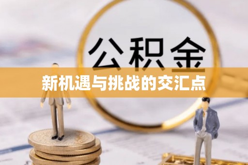 荣县新机遇与挑战的交汇点
