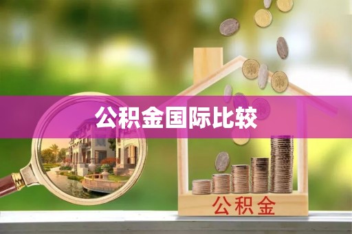 荣县公积金国际比较