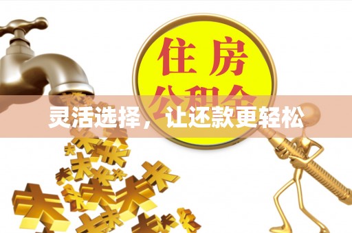 荣县灵活选择，让还款更轻松