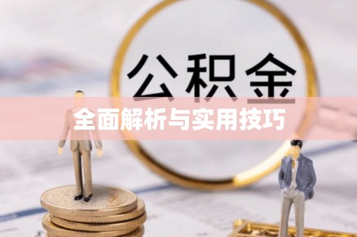 荣县全面解析与实用技巧