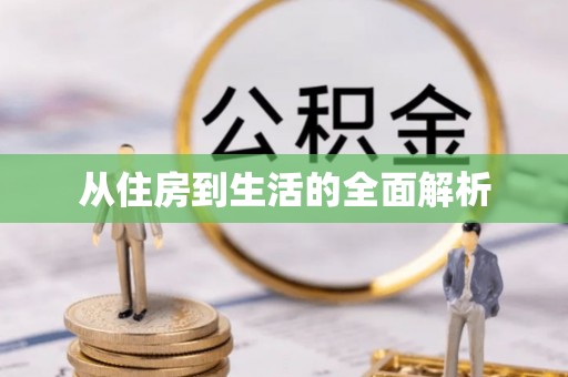 荣县从住房到生活的全面解析