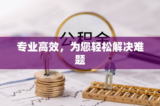 荣县专业高效，为您轻松解决难题