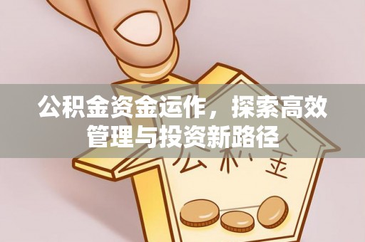荣县公积金资金运作，探索高效管理与投资新路径