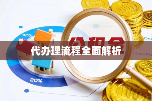 荣县代办理流程全面解析