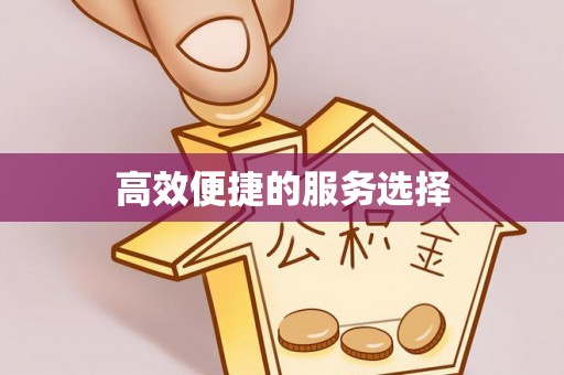 荣县高效便捷的服务选择