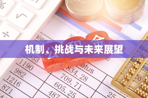荣县机制、挑战与未来展望